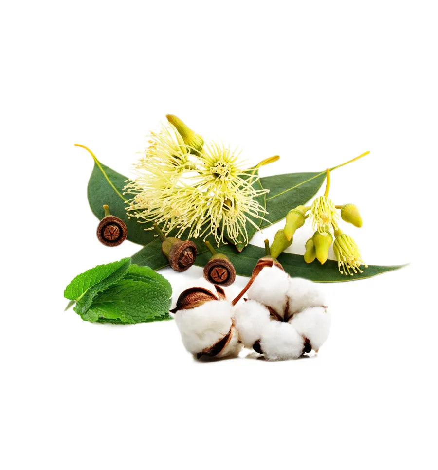 Eucalyptus & Cotton Fragrance Oil