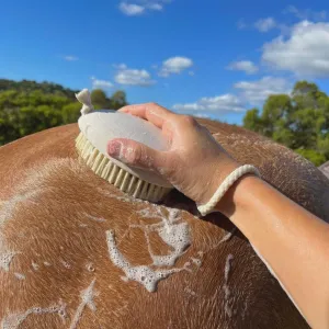 Hairy Pony Wash Bay Brush